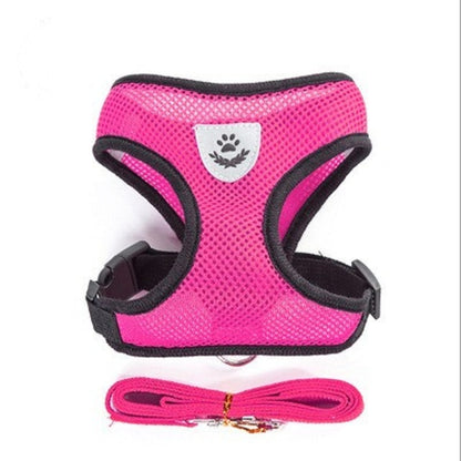 Cat & Dog Harness