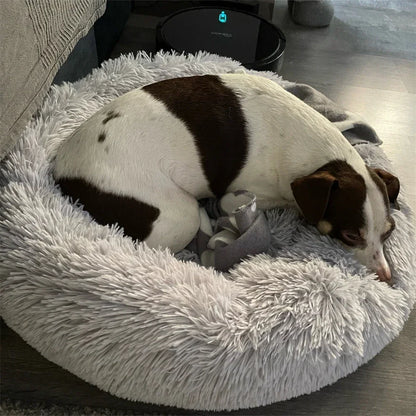 Super Soft Dog Bed