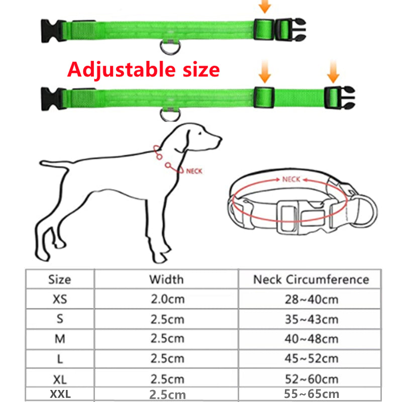 Led Dog Collar