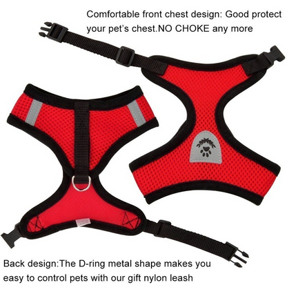 Cat & Dog Harness