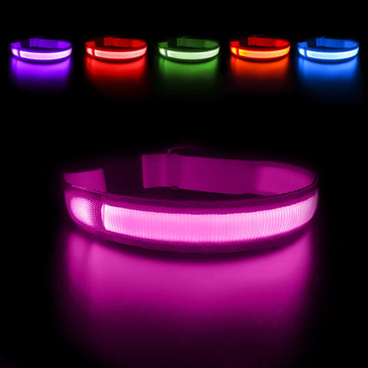 Luminous Dog Collar