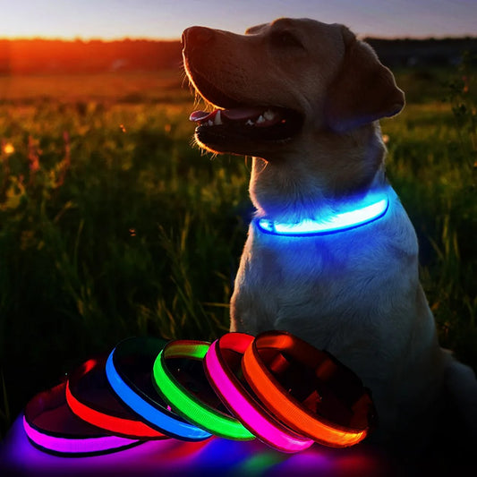 Luminous Dog Collar