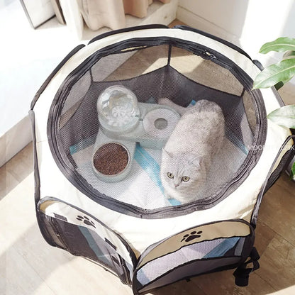 Foldable Cat Tent