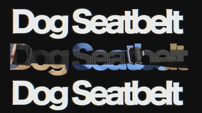 Adjustable Dog Seat Belt