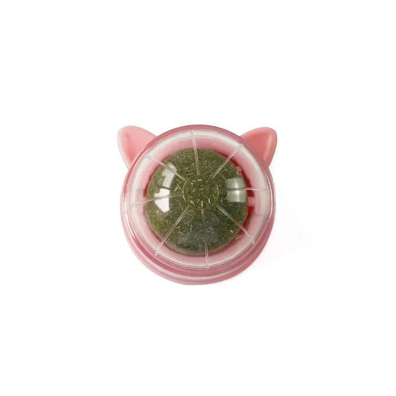 Catnip Cat Wall Stick-on Ball